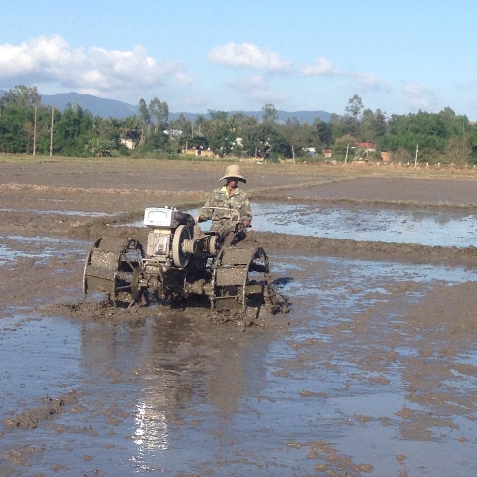 Huyện M’Drắk xuống giống trên 700 ha cây trồng vụ Đông Xuân 2016-2017
